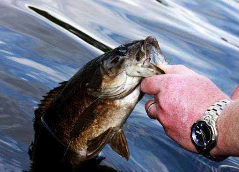 Joe's Bait & Tackle Joe's Bait & Tackle